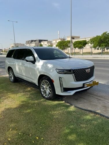 سكاليد بلاتينيوم قصير