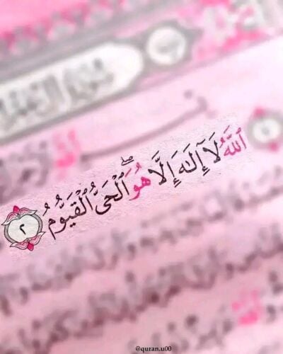 نوال