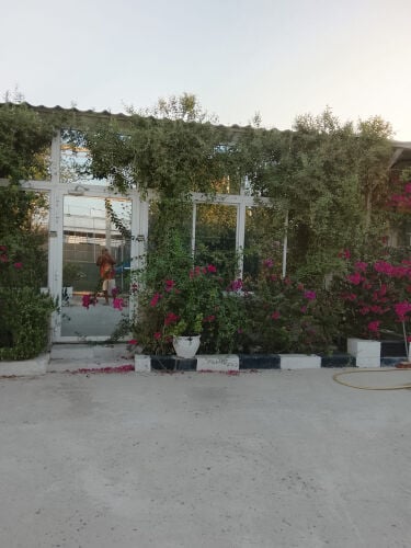عزبه مرتبه للتنازل داخل سمسمه 