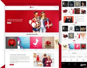 Website Development/ Ecom Website