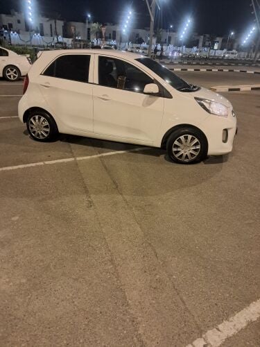 محمد ريان