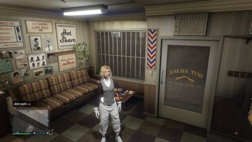 Gta account Levle 500