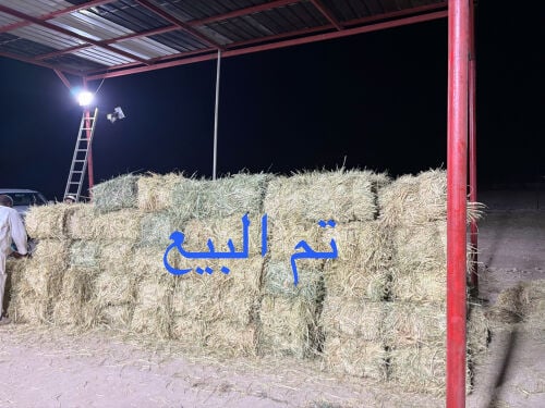 رودس
