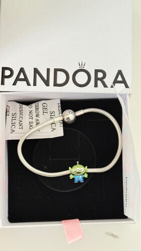 pandora bracelet with charm