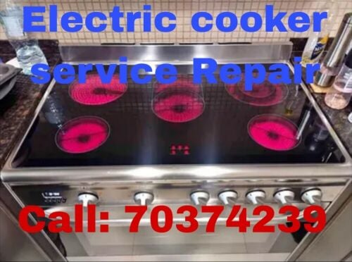 Electric Cooker & Oven Repair