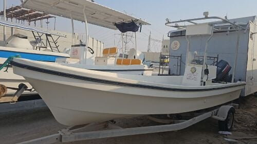 Boat 20 ft