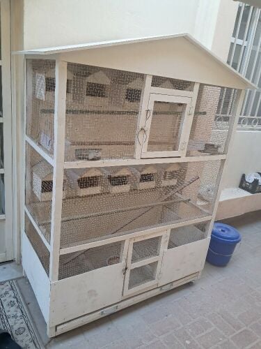 Cage