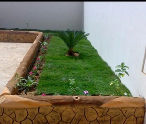 صيانة حديق