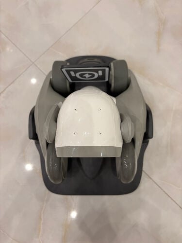 Loona robot