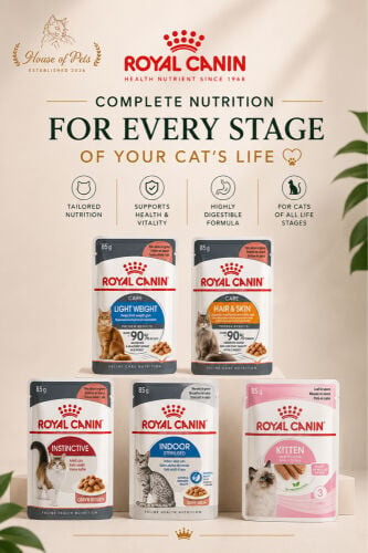Royal Canin Cat Wet food