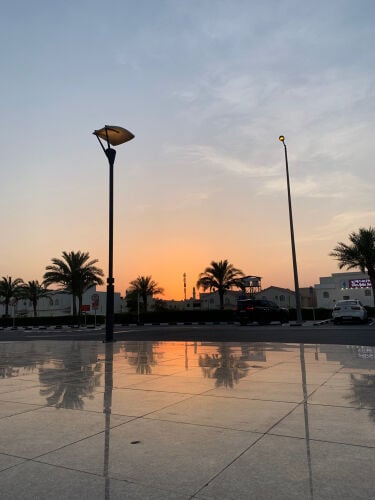 ترجمة