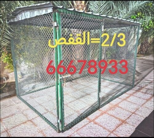 2/3= قن دجاج