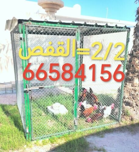 2/2=أقفاص جاهزة للدجاج والحمام