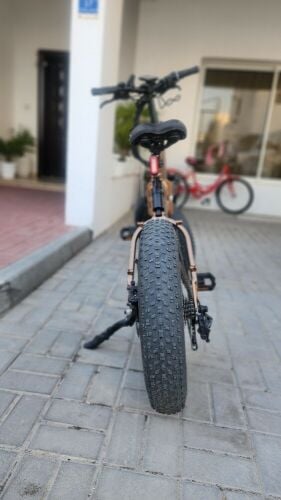 MATE X 750 W electric cycle (Adult)
