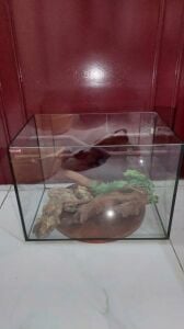 Big Aquarium with accessories