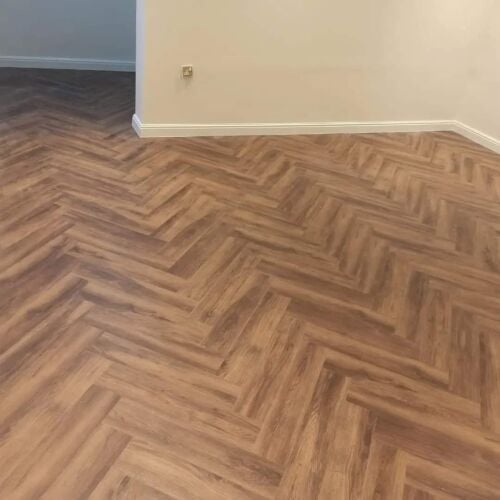 If you need a Barkia in your home