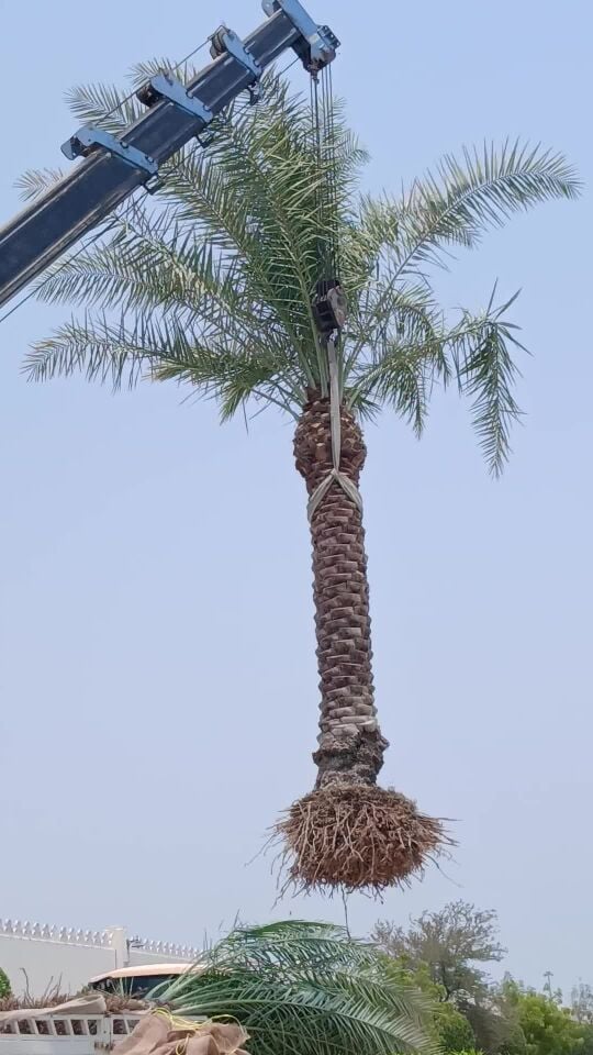 معلم خبير فني وإستشاري الزراعه