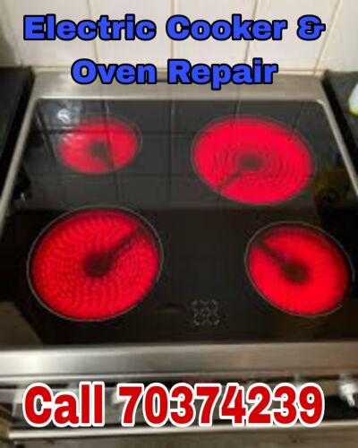 Electric Cooker & Oven Repair