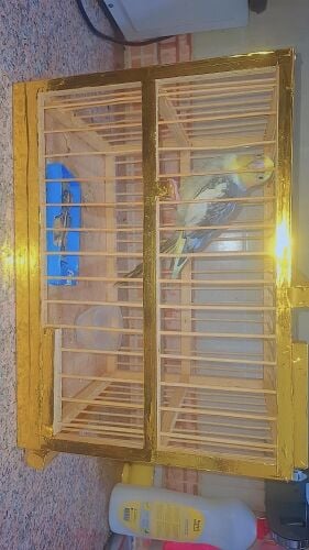 for sale