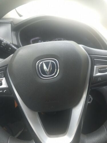 Changan alvsin
