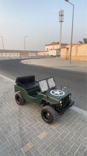 mini Jeep for sale