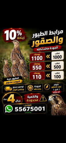مرابط الصقور