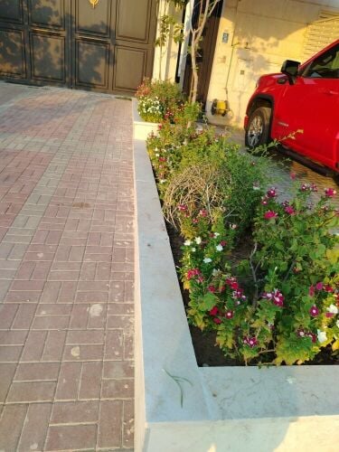 زراعه وديكور