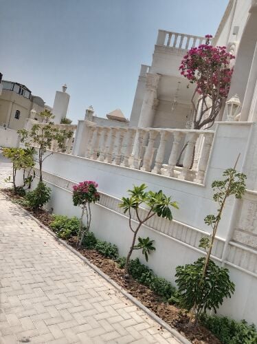 زراعه وديكور