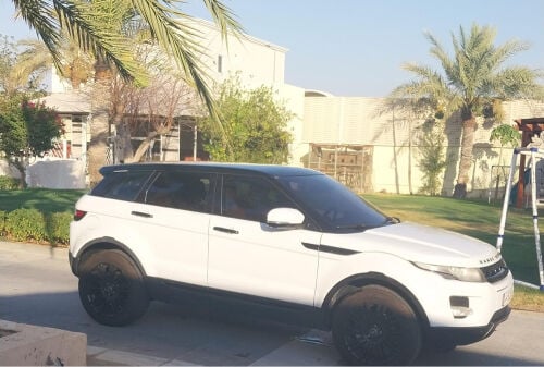 رنج اي فوك