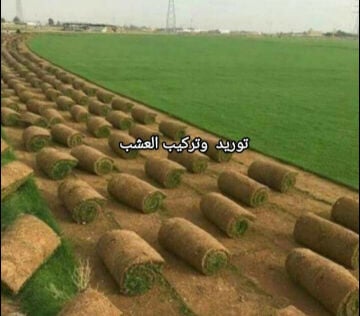تنسيق حدائق 