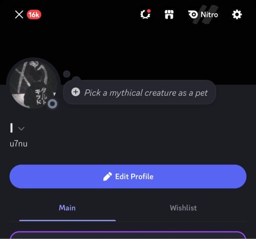 4letter discord user