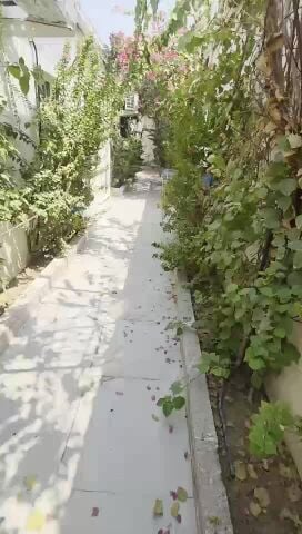 ابوسدرة المره الغربيه المناصير