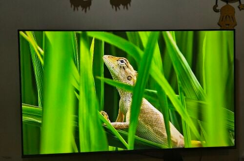 xiaomi tv s miniled 55’ 4k 120hz