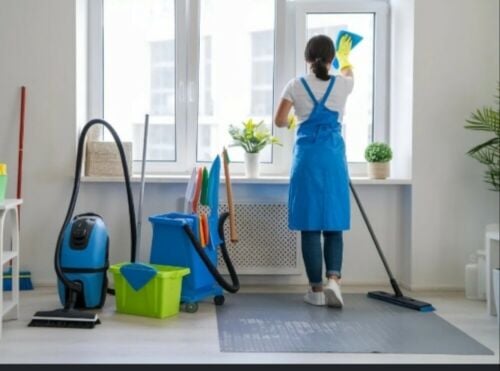 Need only two cleaners for home
