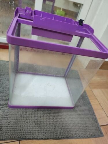 5 Gallon Fish Tank with Filter
