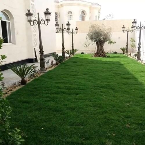 زراعه وشبكات الرى
