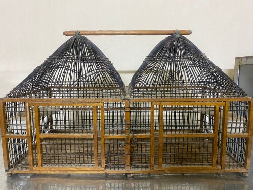 songbird cage