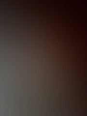 Senior Creative Designer