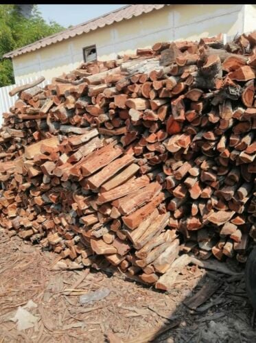 Tree cutting and splitting