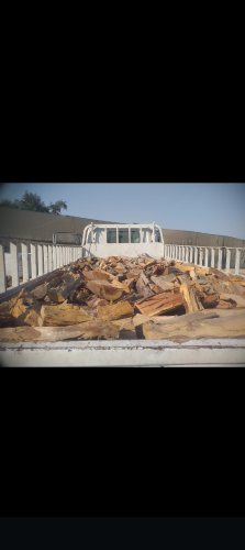 Mixed firewood and jujube wood