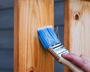 Furniture Paint