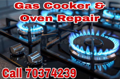 Gas Cooker & Oven Repair