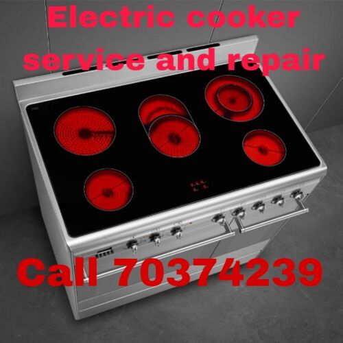 Electric Cooker & Oven Repair