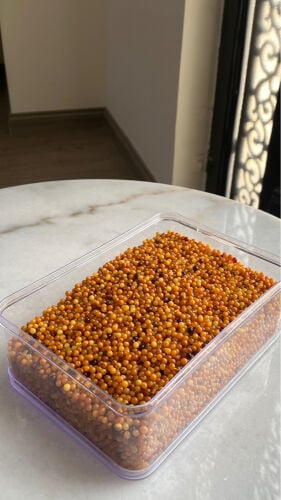 كيلو ونص كهرم