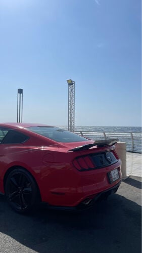 موستانج