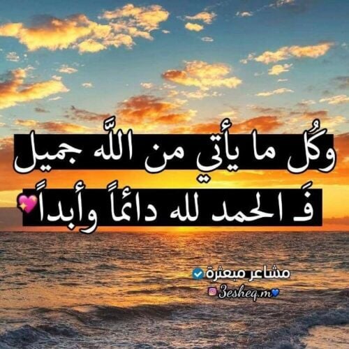 بعث عن عمل