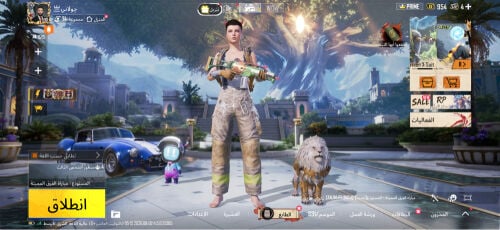 Premium PUBG account for sale