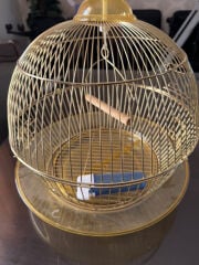 cage