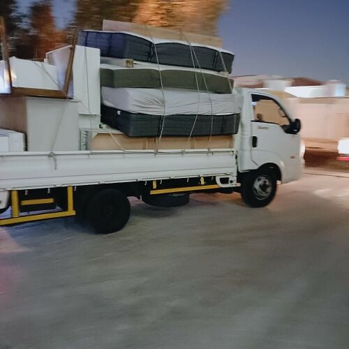 Professional Moving & Shifting Serv