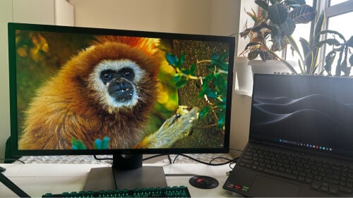 4k 27inch Dell Monitor